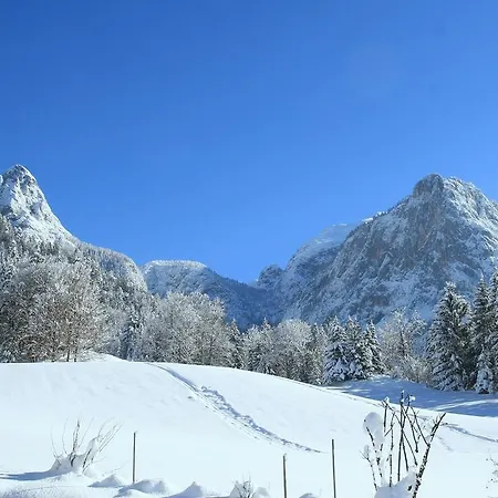 Walcherhof Tatil Evi *
