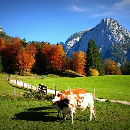 Walcherhof *